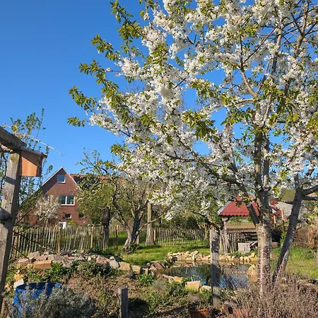Mit Landblick Apartment Badbergen